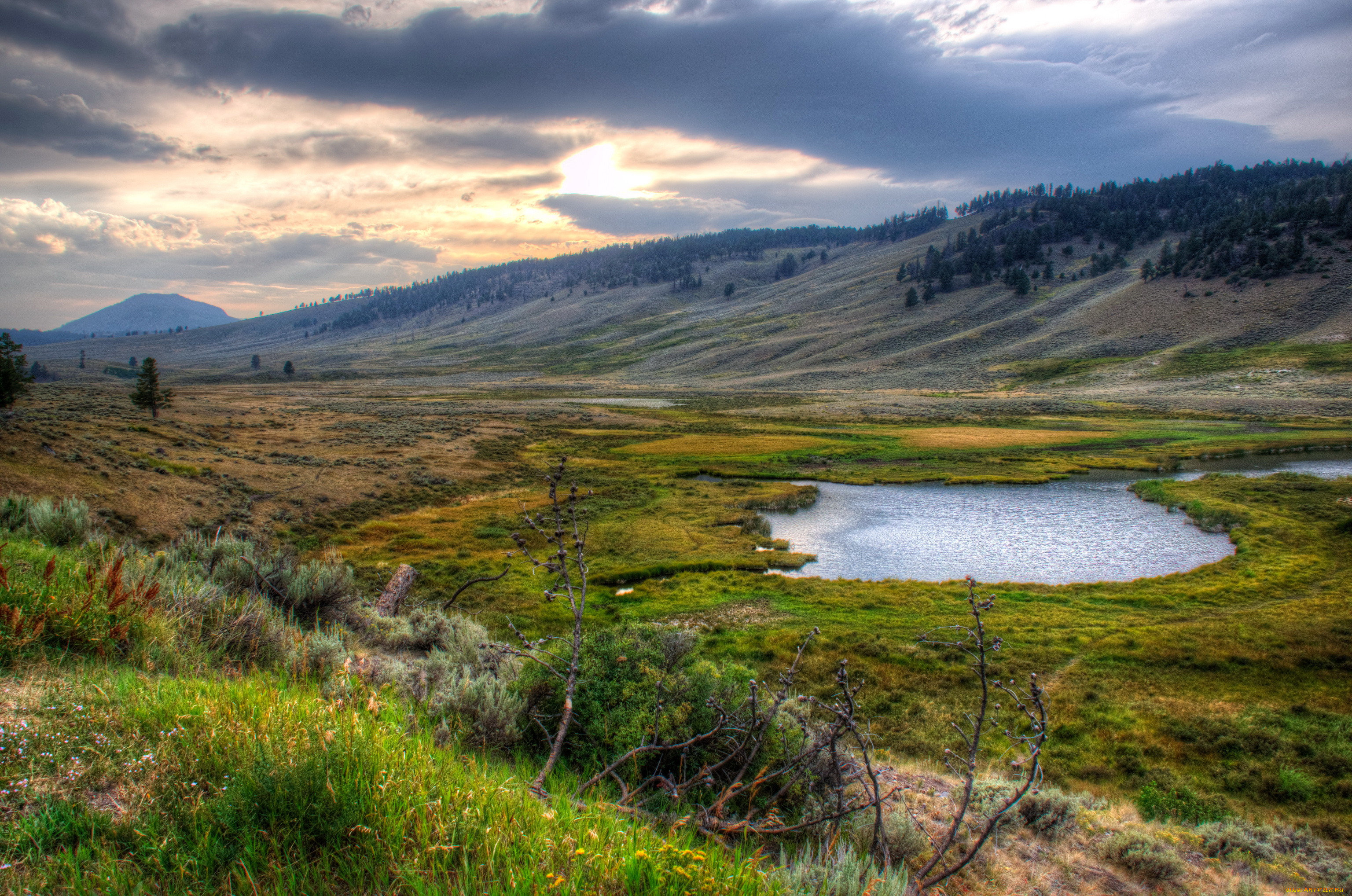 Самые известные равнины. Национальный парк Йеллоустон. Национальный парк Yellowstone США. Йеллоустонский национальный парк озеро. Йеллоустонский национальный парк (штат Вайоминг).